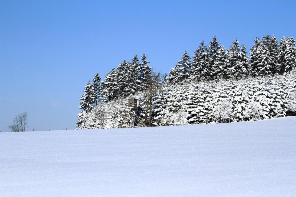 Hotel Schneider Winterberg Eksteriør billede