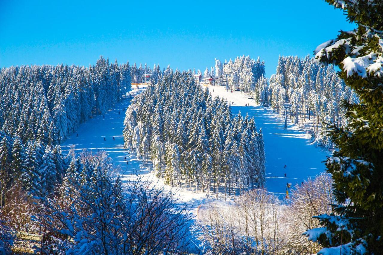 Hotel Schneider Winterberg Eksteriør billede